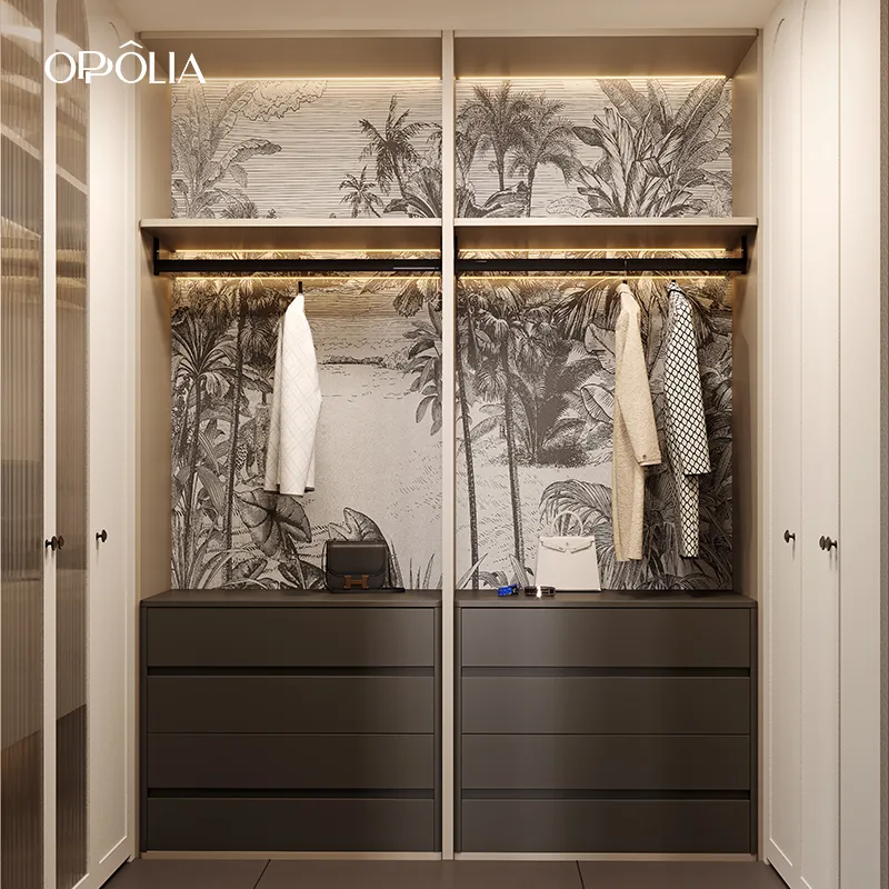 Master Walk-in Closet